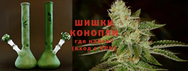 индика Липки