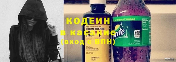 индика Липки