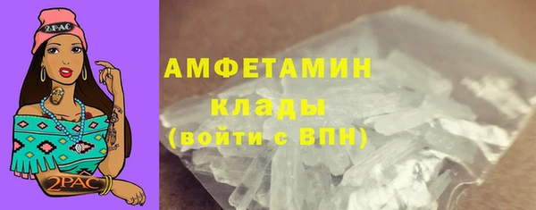 амф Жердевка