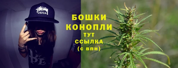 стаф Майский