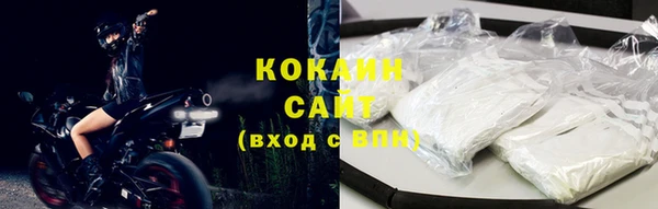 индика Липки