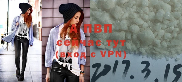 стаф Майский
