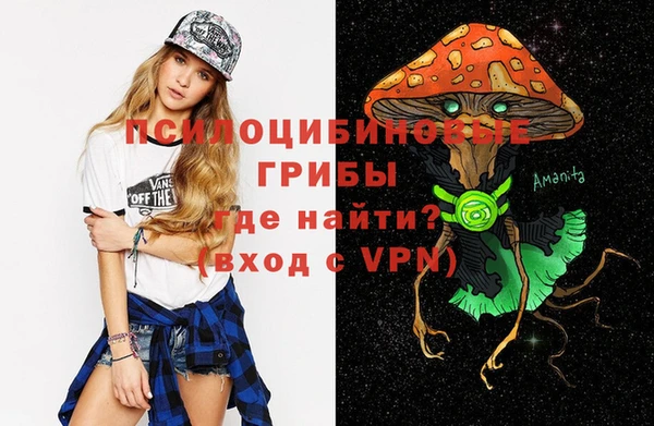 таблы Лиски